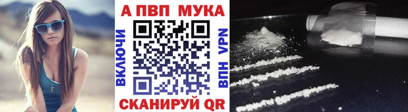 APVP СК Куртамыш