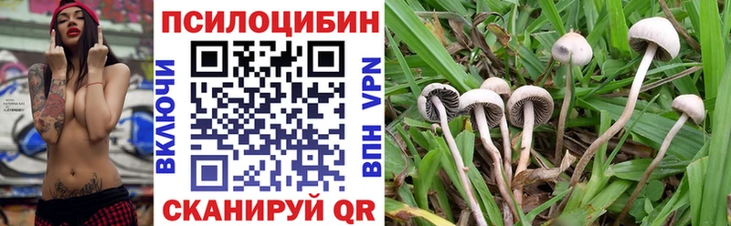 Галлюциногенные грибы мухоморы  Куртамыш 